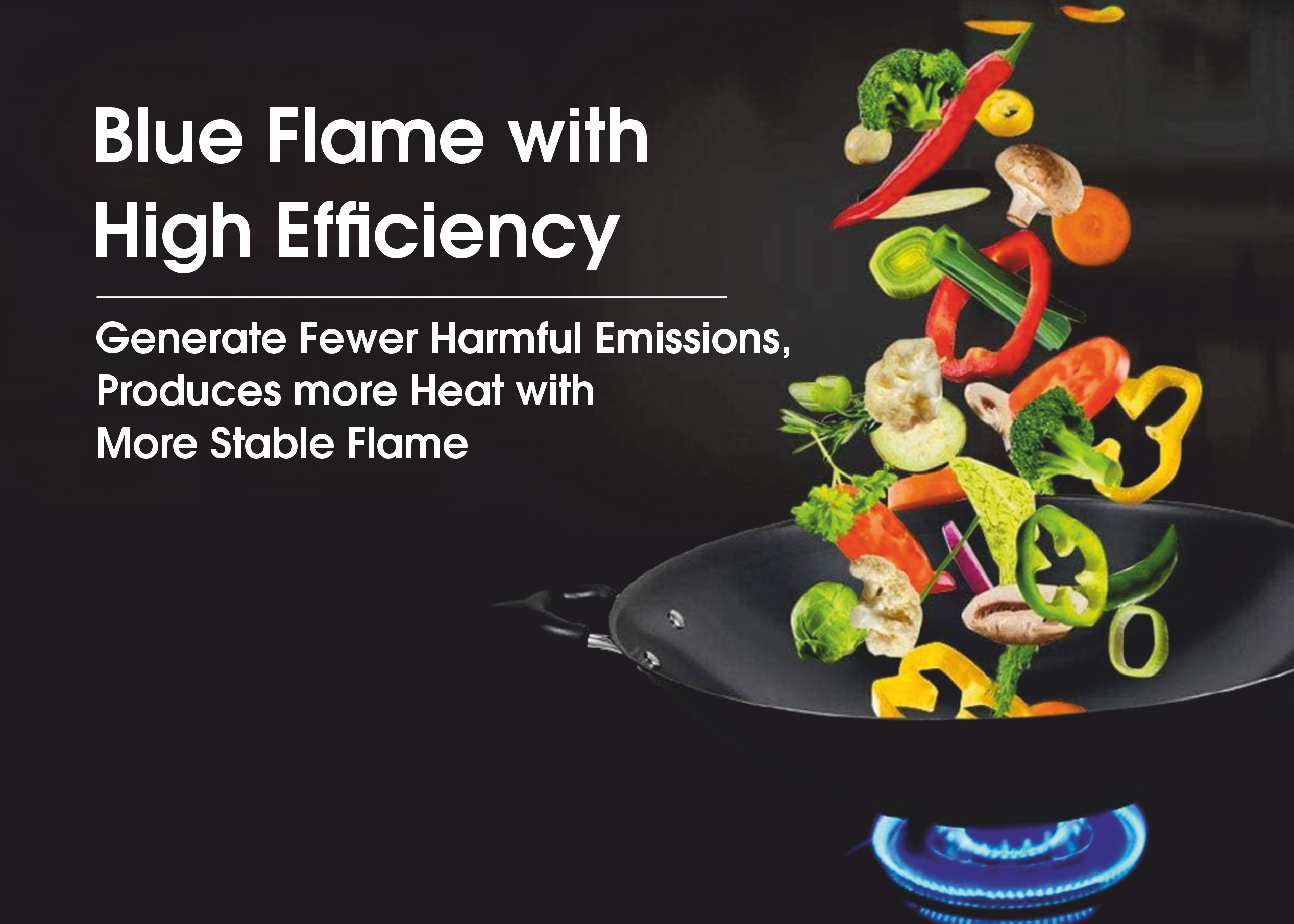 Auto Gas Stove Two Burner (Black)